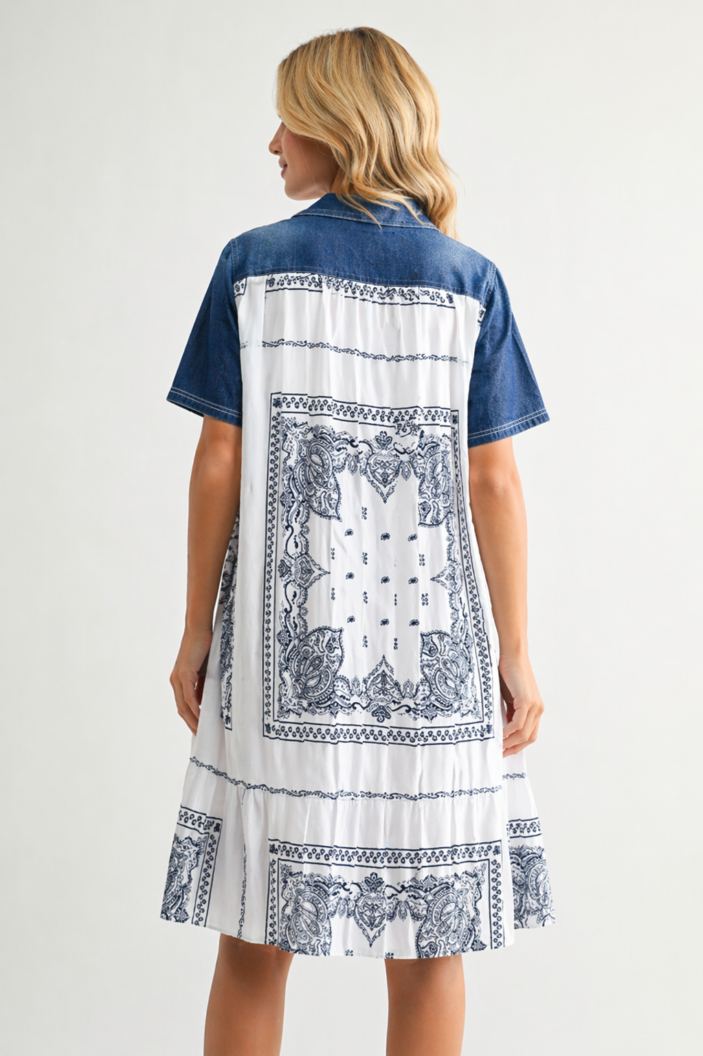 Denise Dress with Novelty Back Printed Pleating