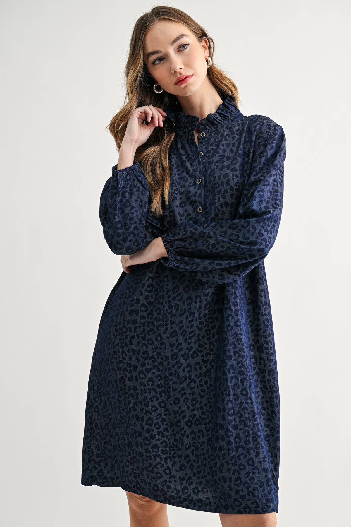 Diana Woven Animal Print Dress